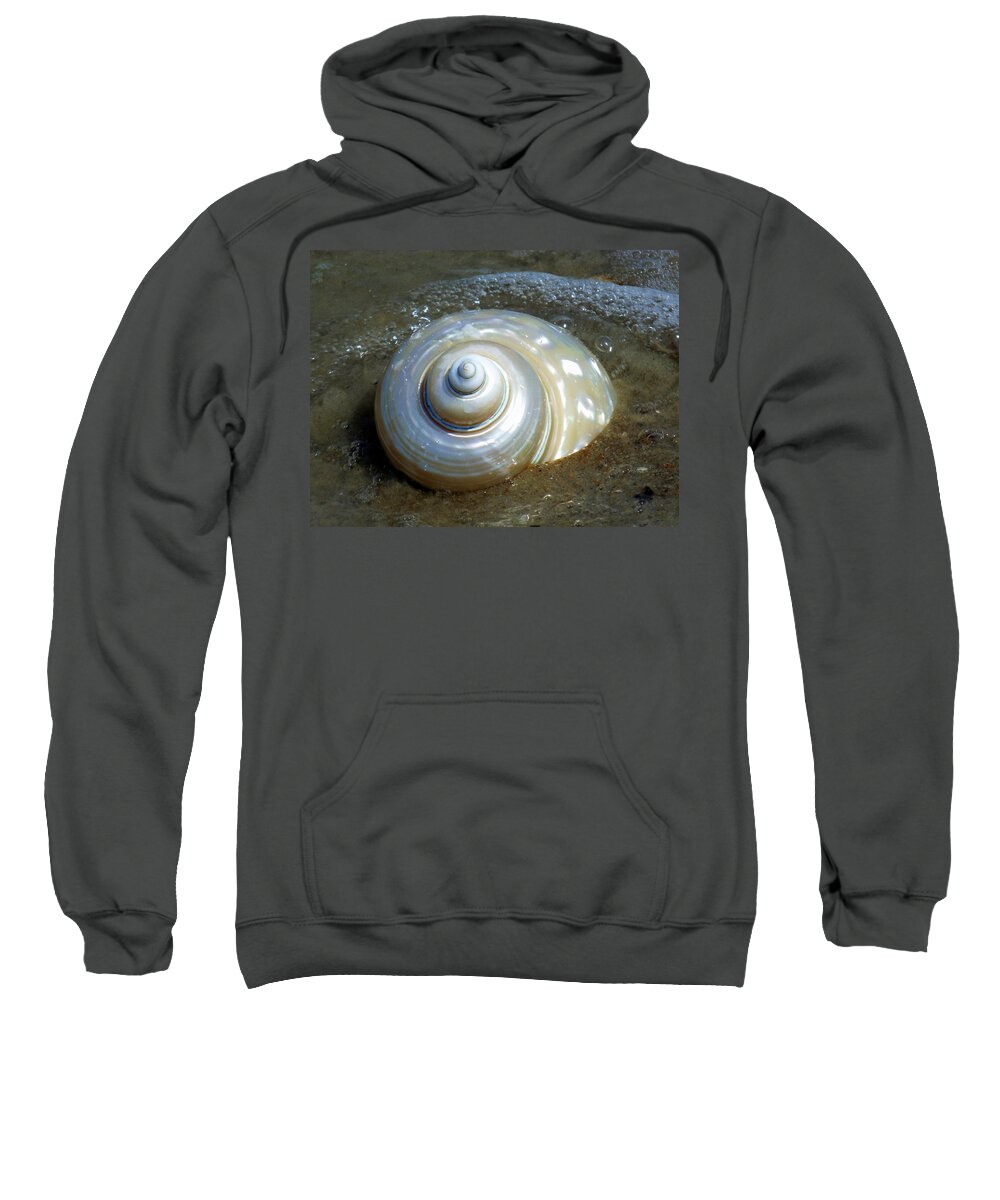 Seashells Sweatshirt featuring the photograph Whispering Tides by Karen Wiles