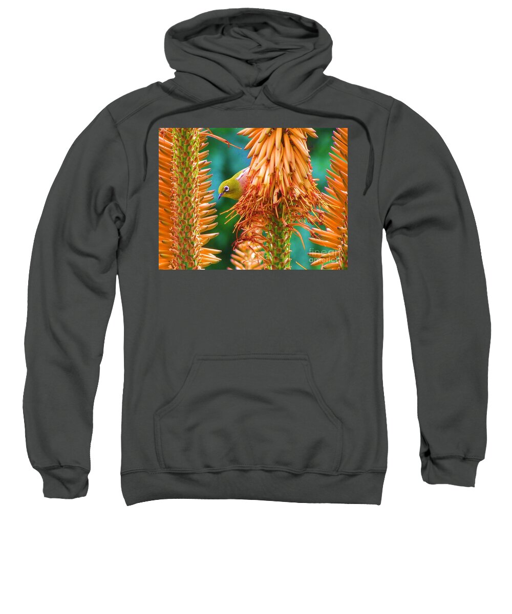 Japanese White-eye Sweatshirt featuring the photograph White-Eye on Deer-Horn by Michele Penner