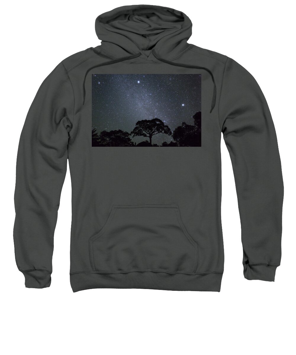 Konrad Wothe Sweatshirt featuring the photograph White Silk Floss Tree And Starry T Sky by Konrad Wothe