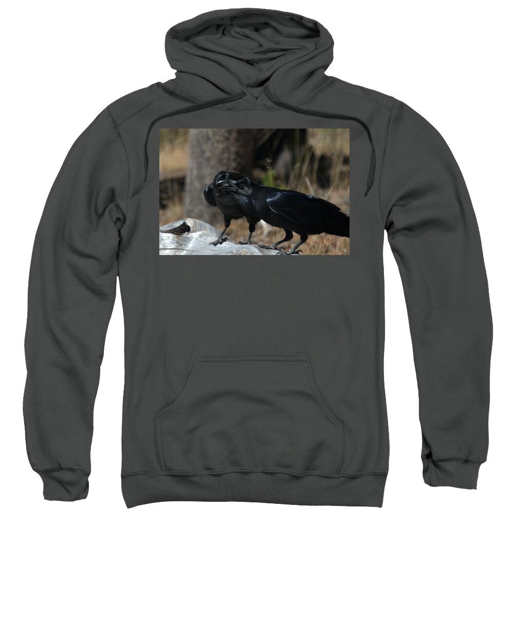 Raven Sweatshirt featuring the photograph Whoa you should see a dentist by Frank Madia