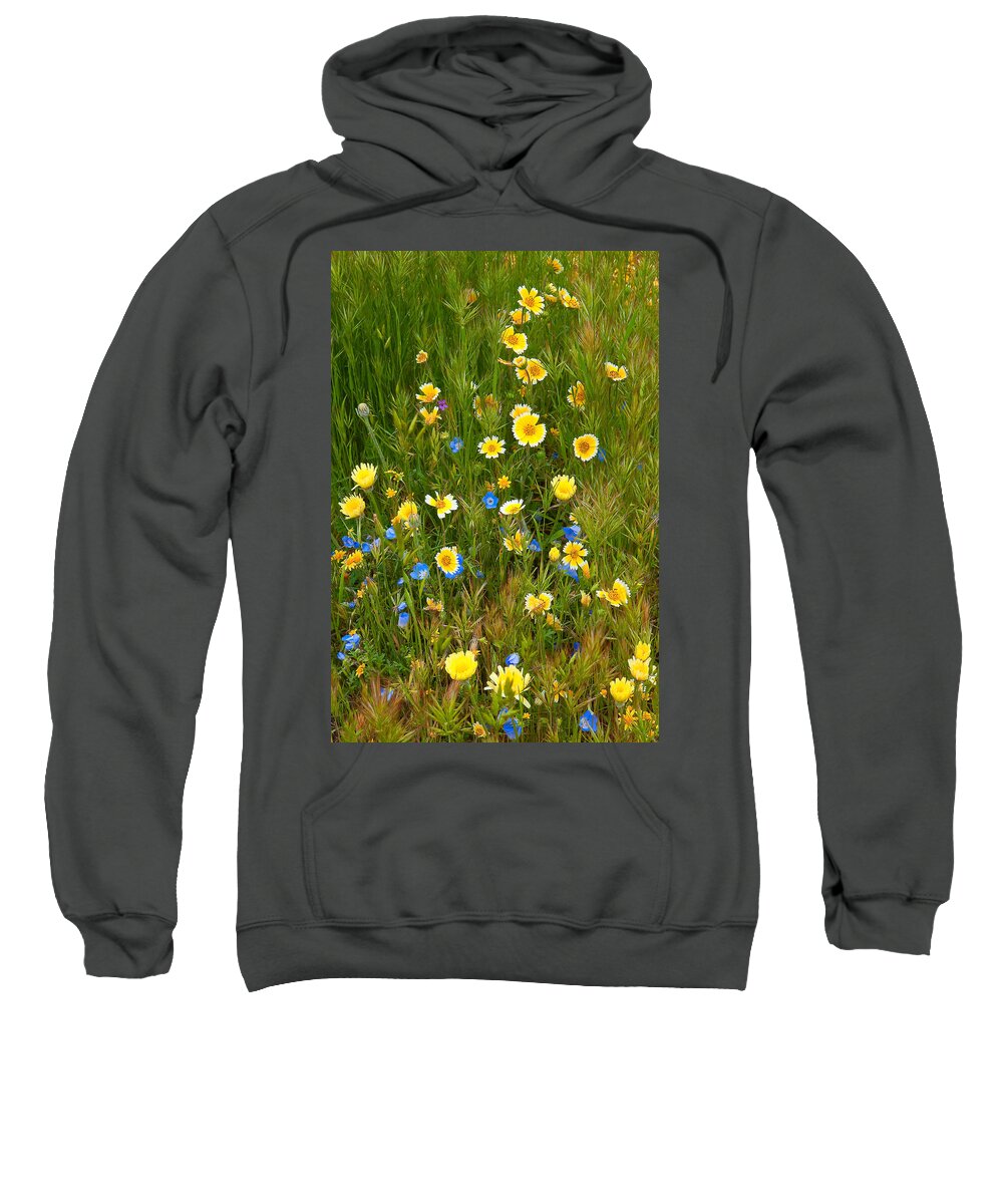 California Wildflowers Sweatshirt featuring the photograph Wildflower Salad - Spring in Central California by Ram Vasudev