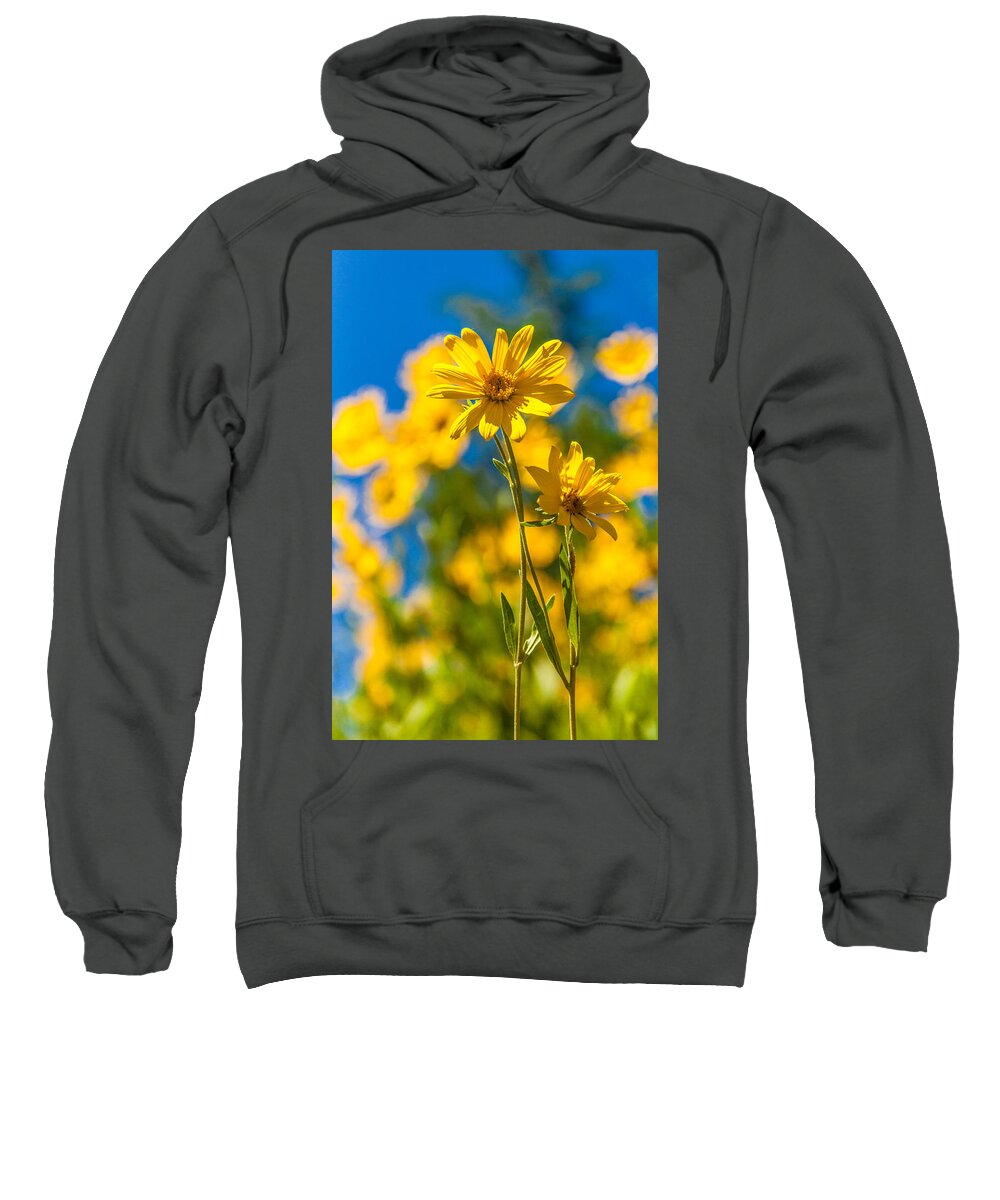 Flowers Sweatshirt featuring the photograph Wildflowers Standing Out by Chad Dutson