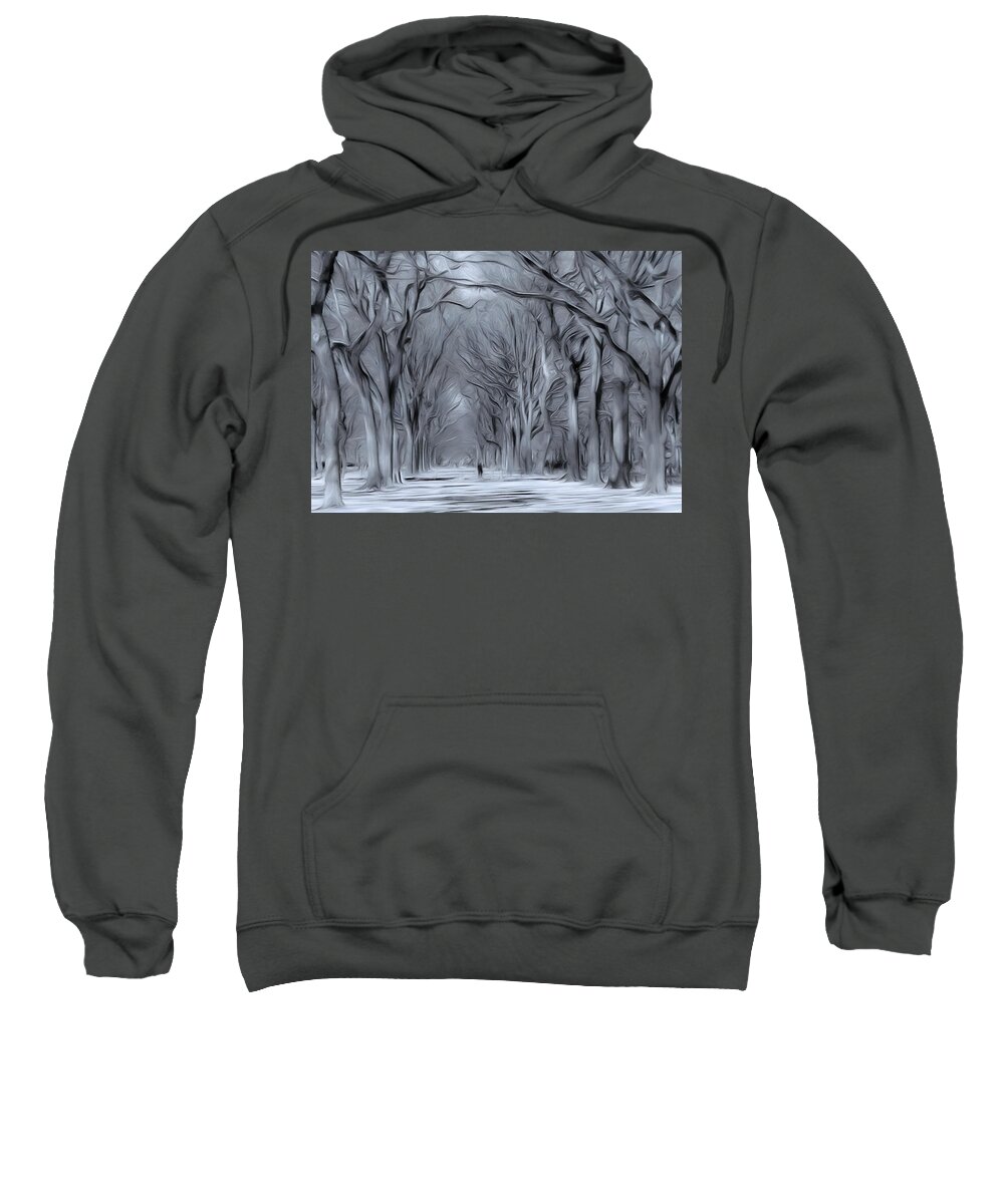Central Park Sweatshirt featuring the digital art Winter in Central Park by Nina Bradica