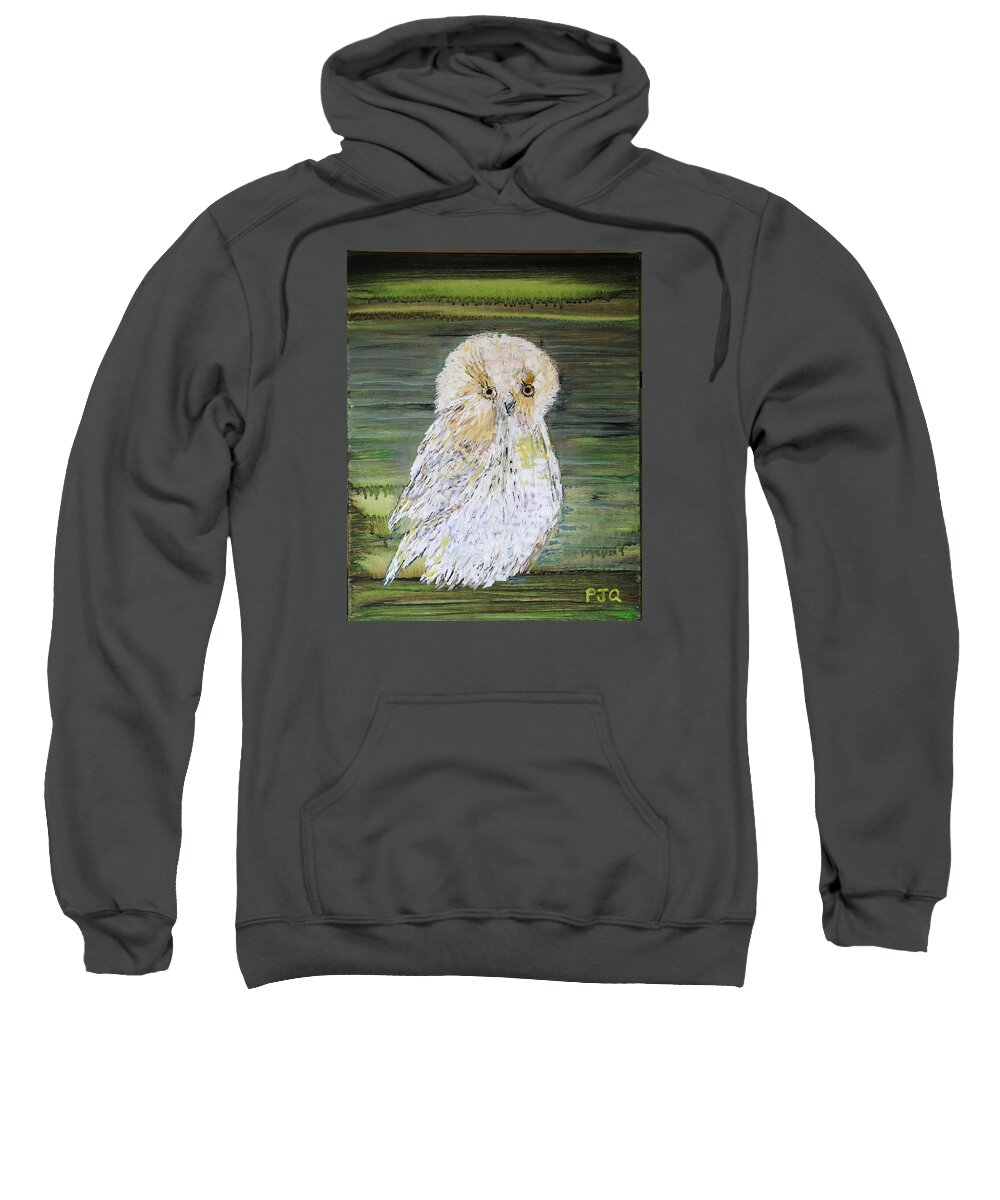 Snowy Owl Sweatshirt featuring the photograph Harry's Owl by PJQandFriends Photography