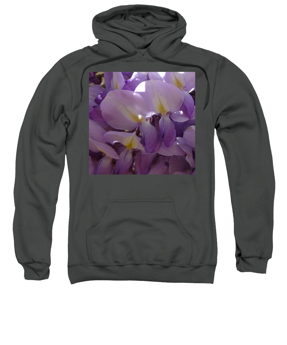 Purple Sweatshirt featuring the photograph Wisteria Duo by Claudia Goodell