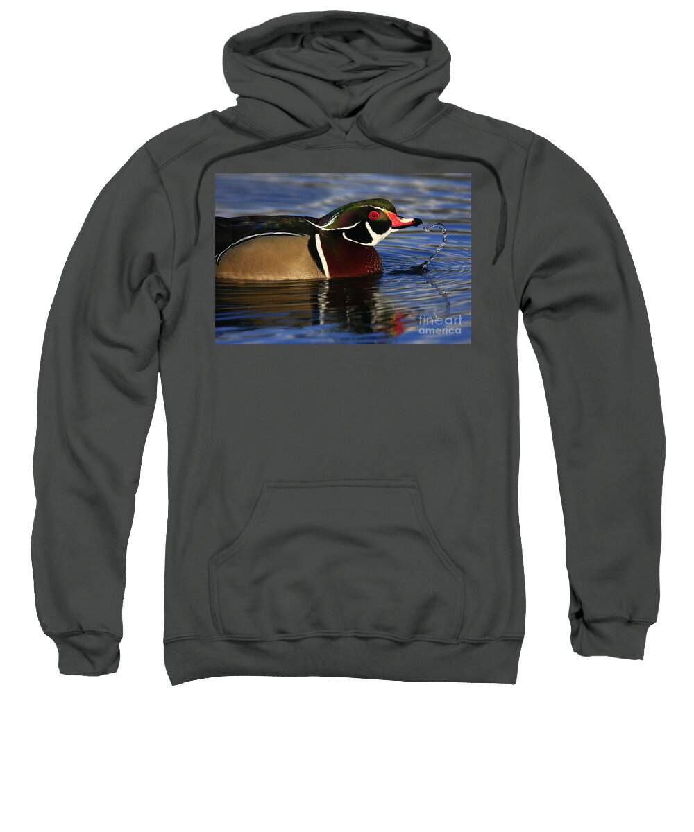 Duck Sweatshirt featuring the photograph Wood Duck Waterdrops by John F Tsumas
