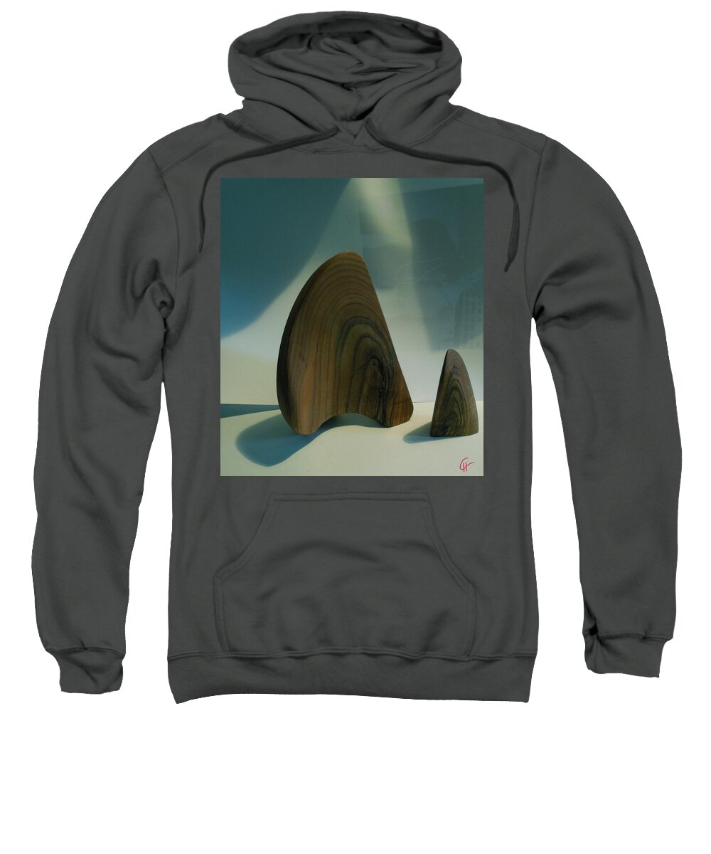 Colette Sweatshirt featuring the photograph Wood Zen Harmony by Colette V Hera Guggenheim
