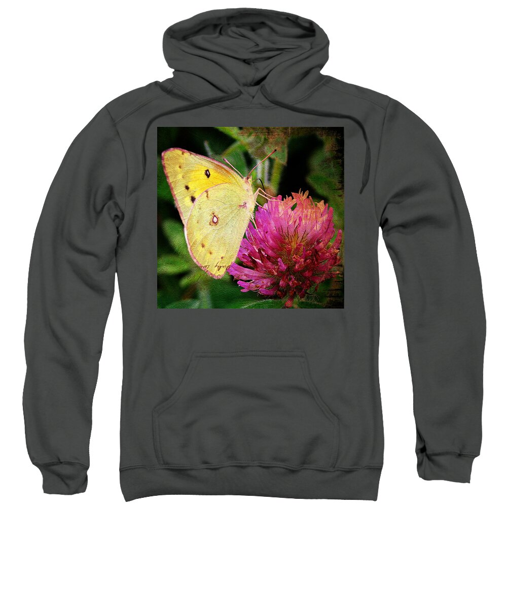 Butterfly Sweatshirt featuring the photograph Yellow Butterfly on Pink Clover by Cassie Peters