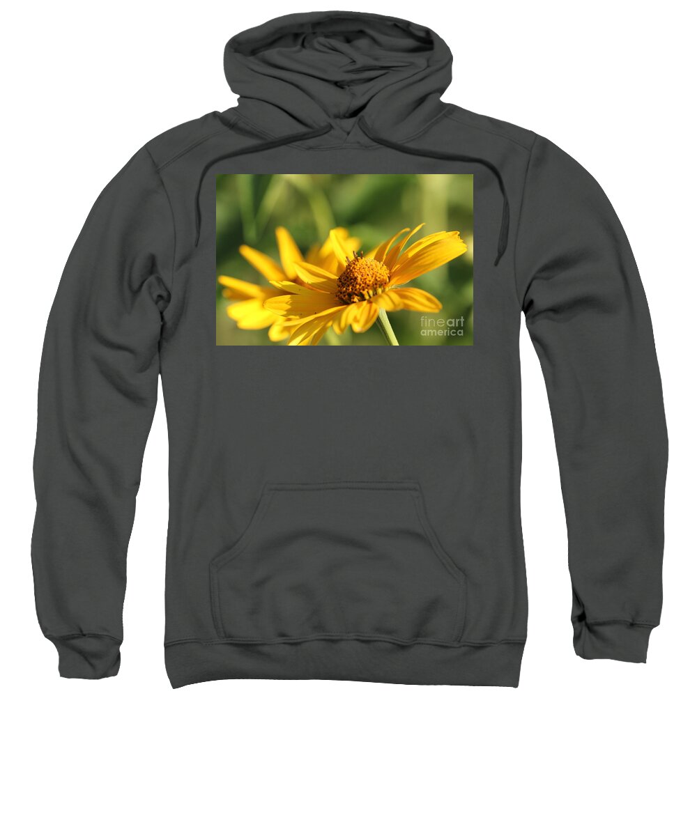 Blossom Sweatshirt featuring the photograph Yellow Flower by Amanda Mohler
