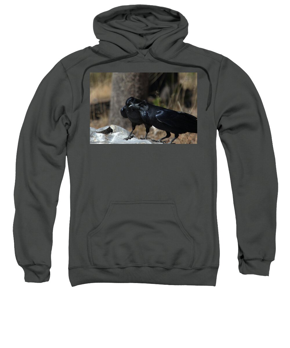 Raven Sweatshirt featuring the photograph You've got something on your beak by Frank Madia