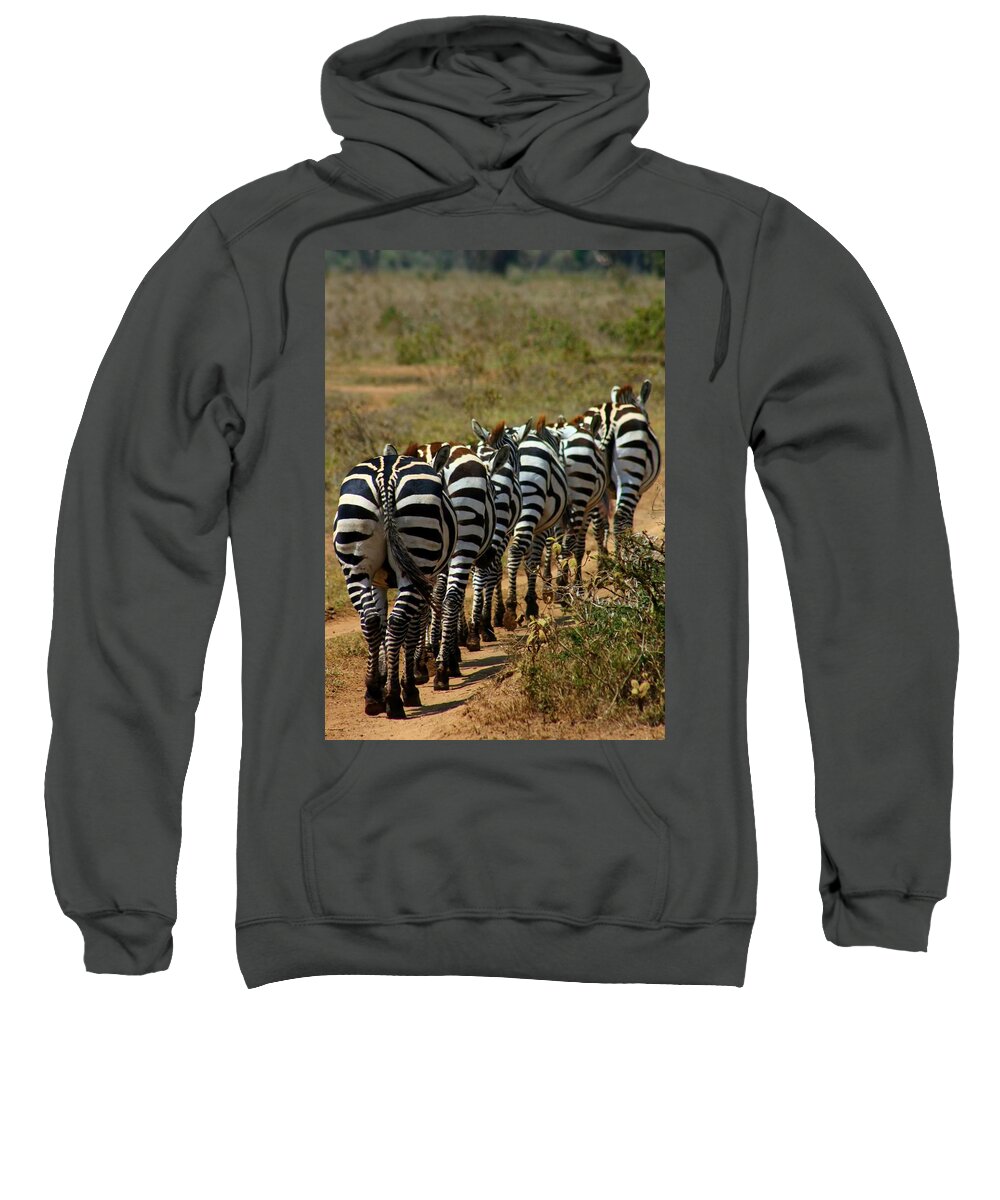 Zebra Sweatshirt featuring the photograph Zebra by Amanda Stadther
