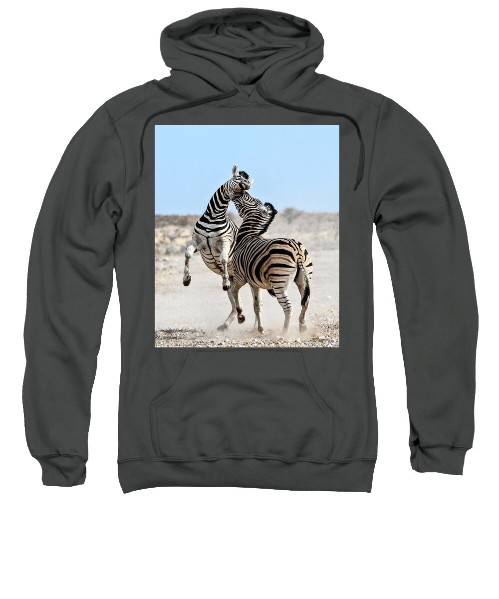 Nis Sweatshirt featuring the photograph Zebra Stallions Fighting In Etosha Np by Peter Delaney