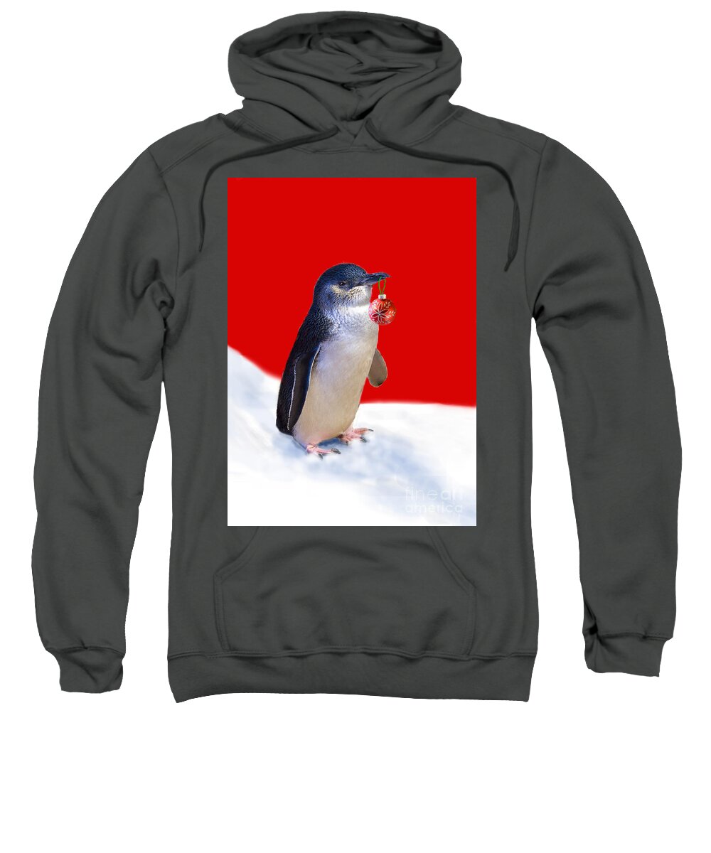 Little Penguin Sweatshirt featuring the photograph Fairy Penguin for Christmas #2 by Louise Heusinkveld