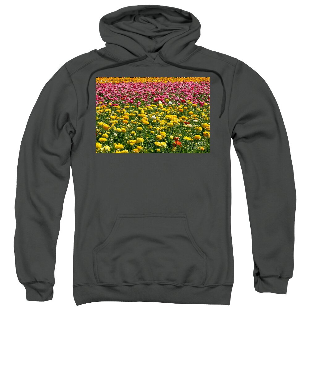 Flowers Sweatshirt featuring the photograph Flower Fields #19 by Daniel Knighton