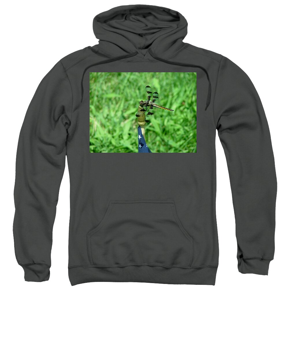 Dragonfly Sweatshirt featuring the photograph Dragonfly #3 by Dennis Pintoski