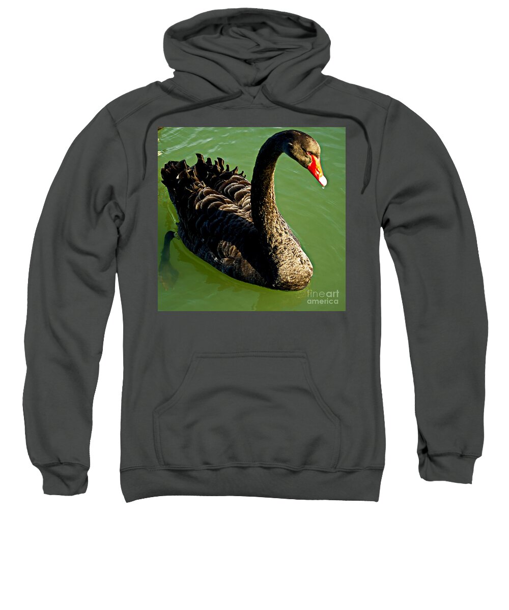 Blair Sweatshirt featuring the photograph Australian Black Swan by Blair Stuart