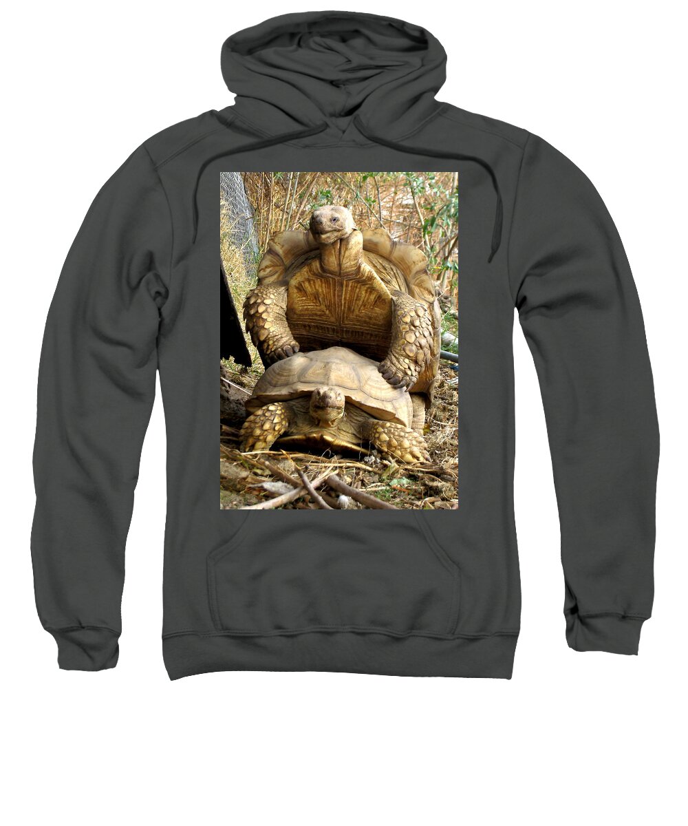 Turtles Sweatshirt featuring the photograph I Said Go Around by John King I I I