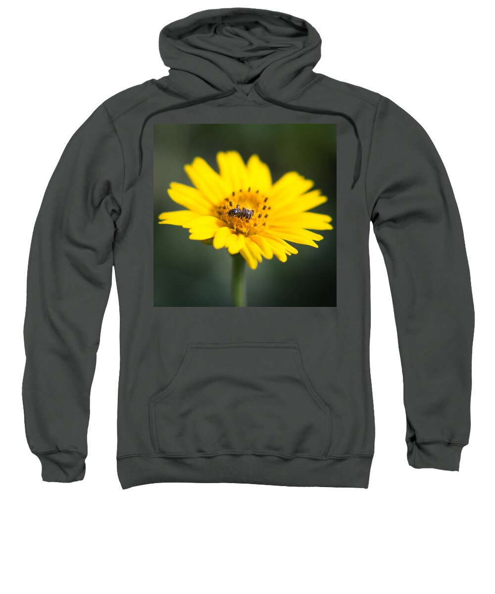 Small Sweatshirt featuring the photograph Beautiful small world by SAURAVphoto Online Store