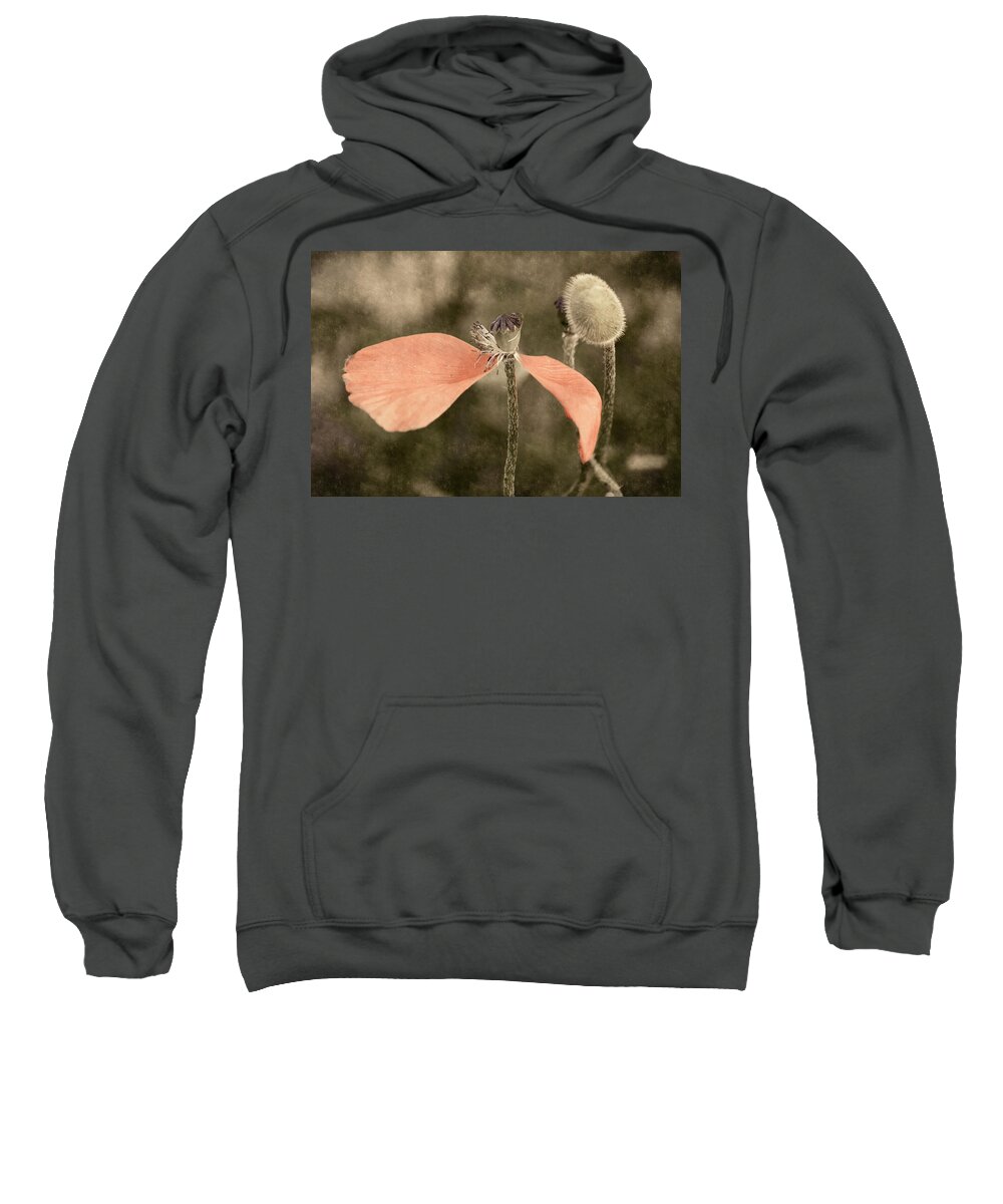 Flowers Sweatshirt featuring the photograph Beauty Fades by Bill Pevlor