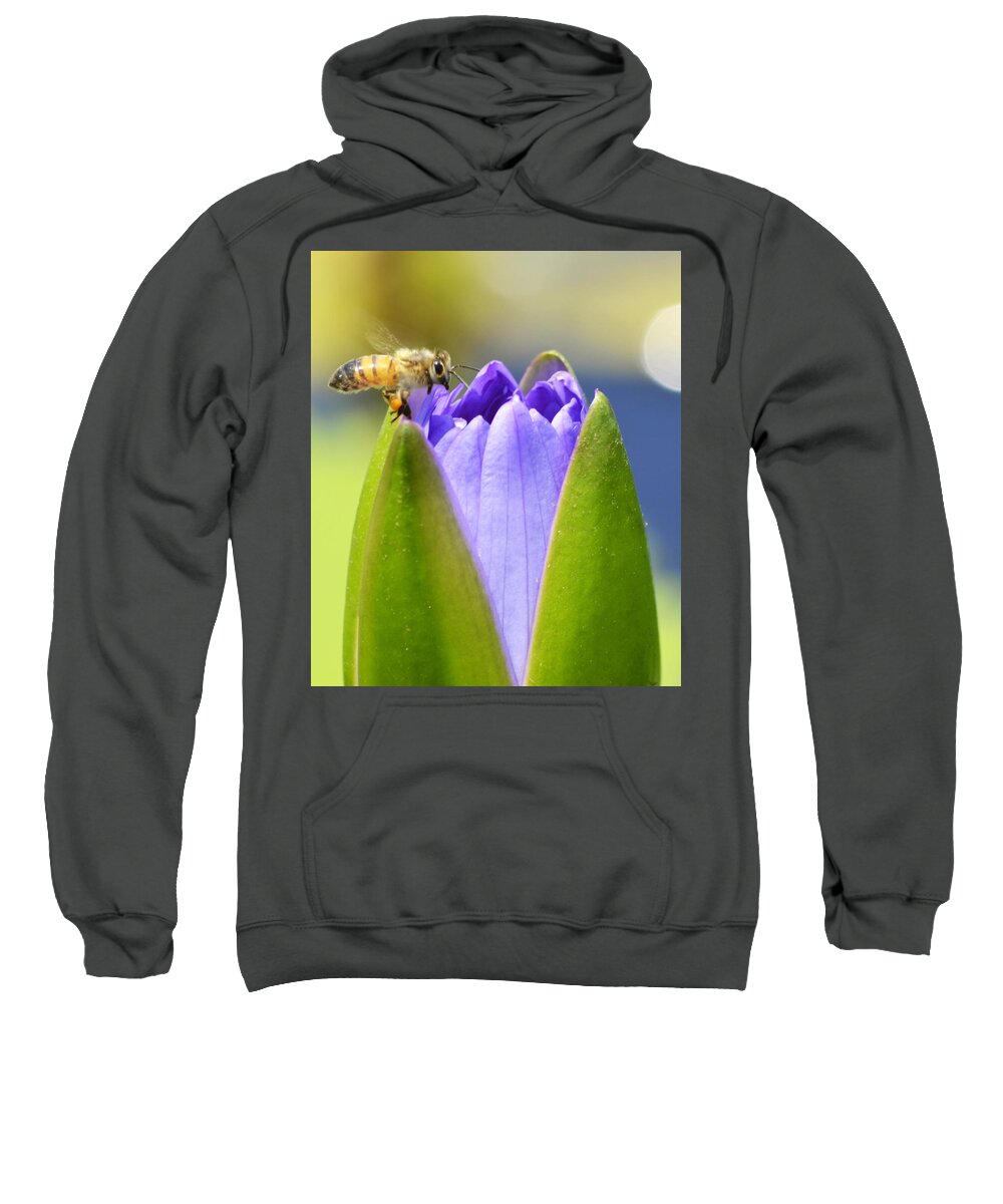 Waterlily Sweatshirt featuring the photograph Beelilyful by Melanie Moraga