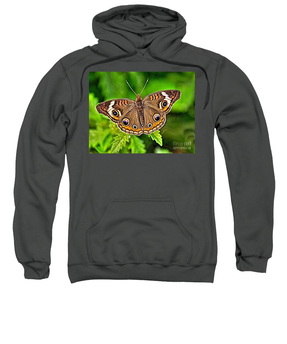 Bug Sweatshirt featuring the photograph Buckeye Butterfly by Nick Zelinsky Jr
