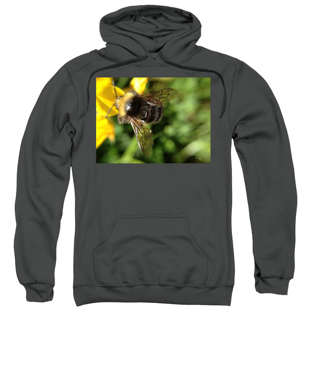 Bumblebee Sweatshirt featuring the photograph Bumble Bee by Chriss Pagani
