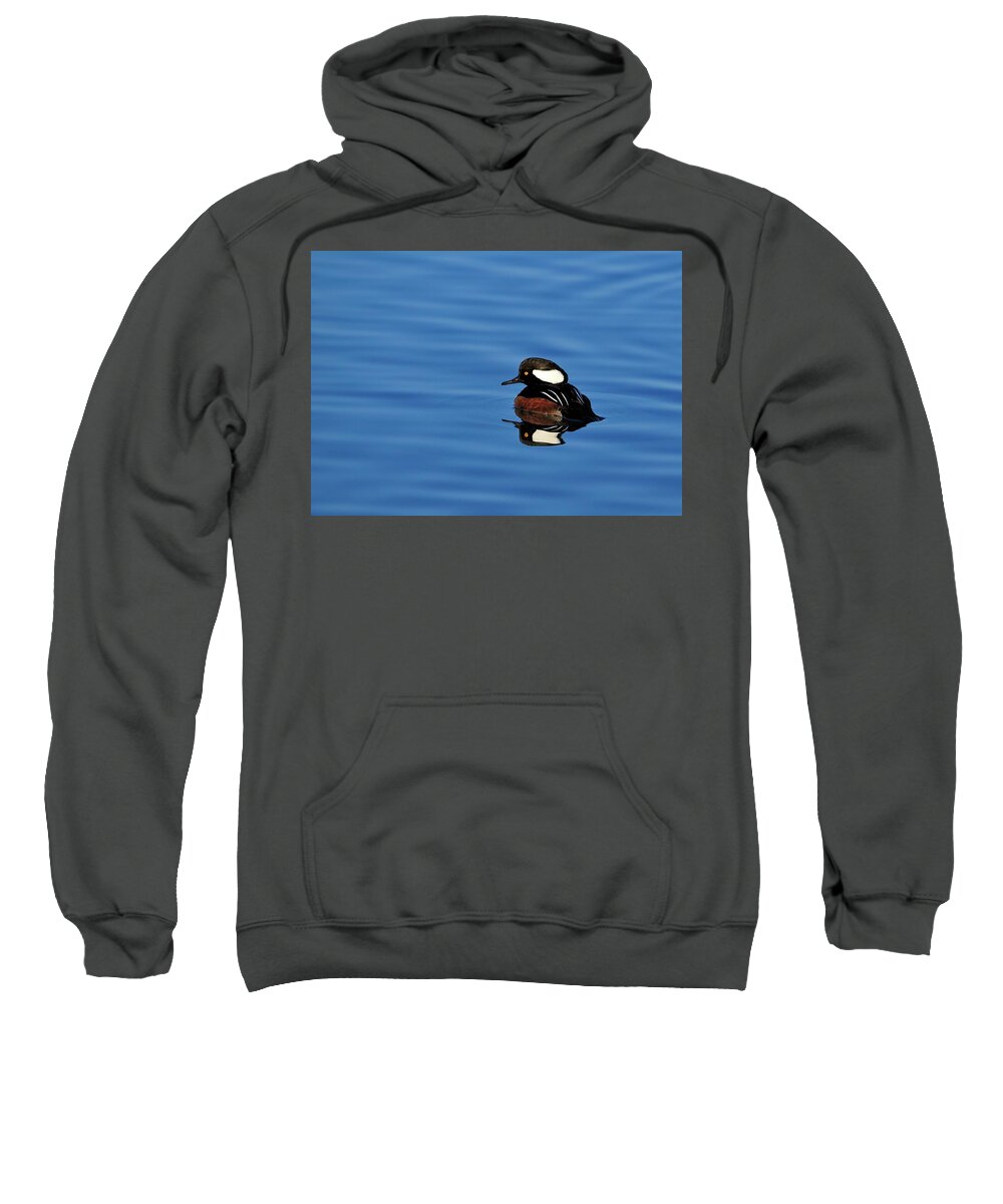 Hooded Sweatshirt featuring the photograph Calm reflection by Bill Dodsworth