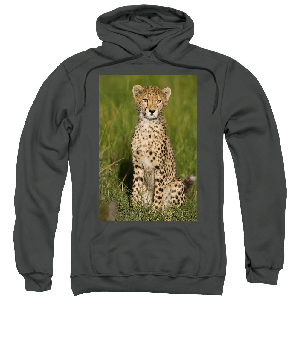 00761672 Sweatshirt featuring the photograph Cheetah 9 Month Old Cub Masai Mara by Suzi Eszterhas