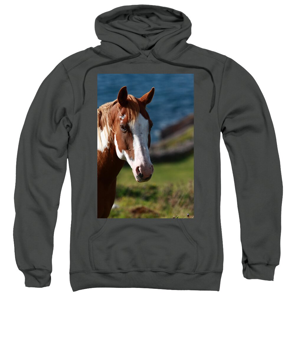 Horse Sweatshirt featuring the photograph Chestnut Mare by Aidan Moran