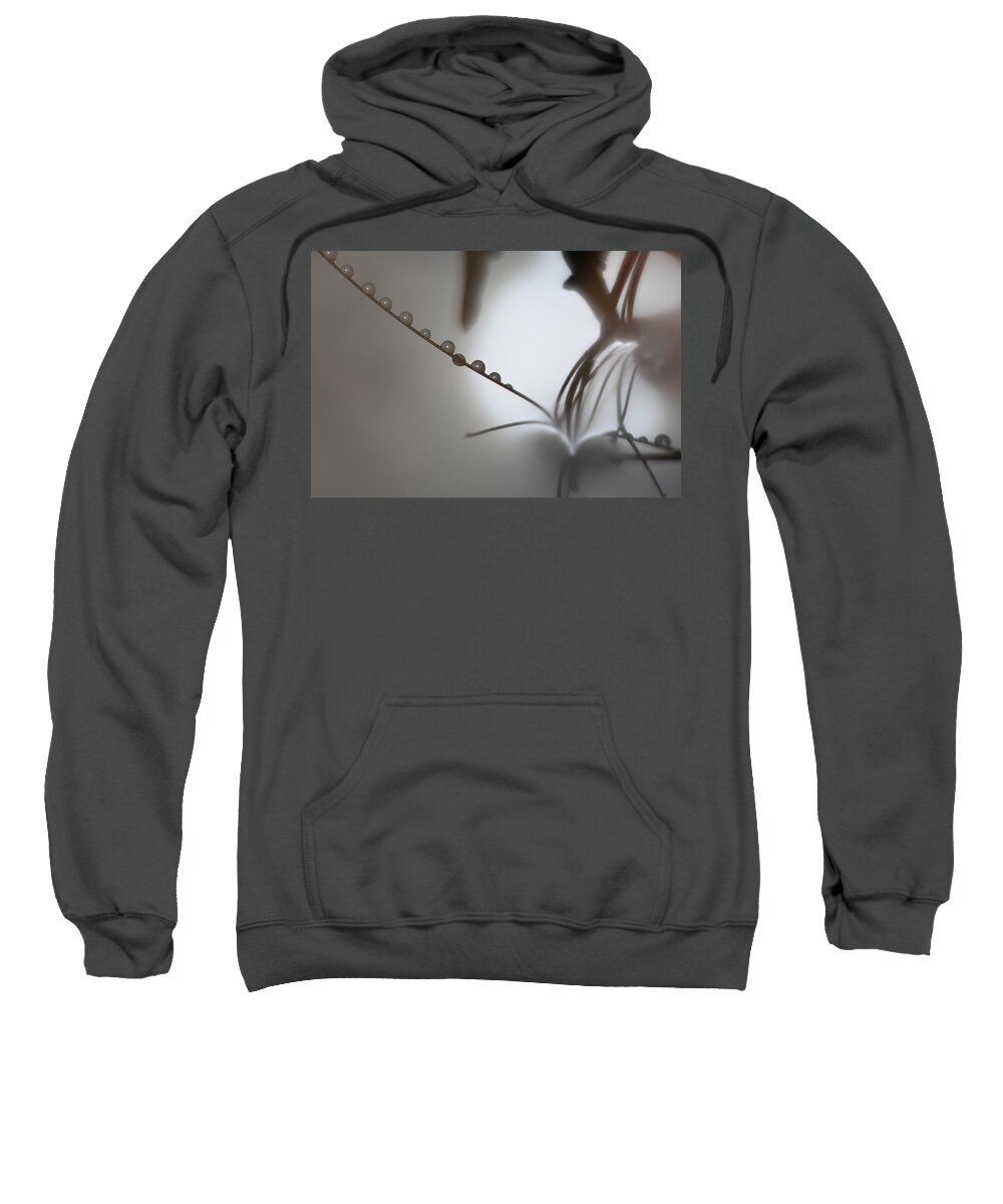Dew Sweatshirt featuring the photograph Dew drops reflected by Ulrich Kunst And Bettina Scheidulin