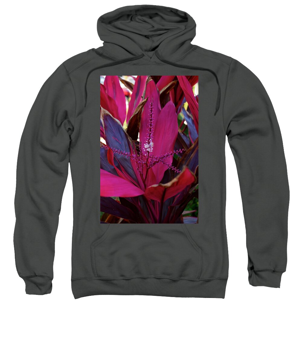 5th Avenue Sweatshirt featuring the photograph Explosion by Joseph Yarbrough