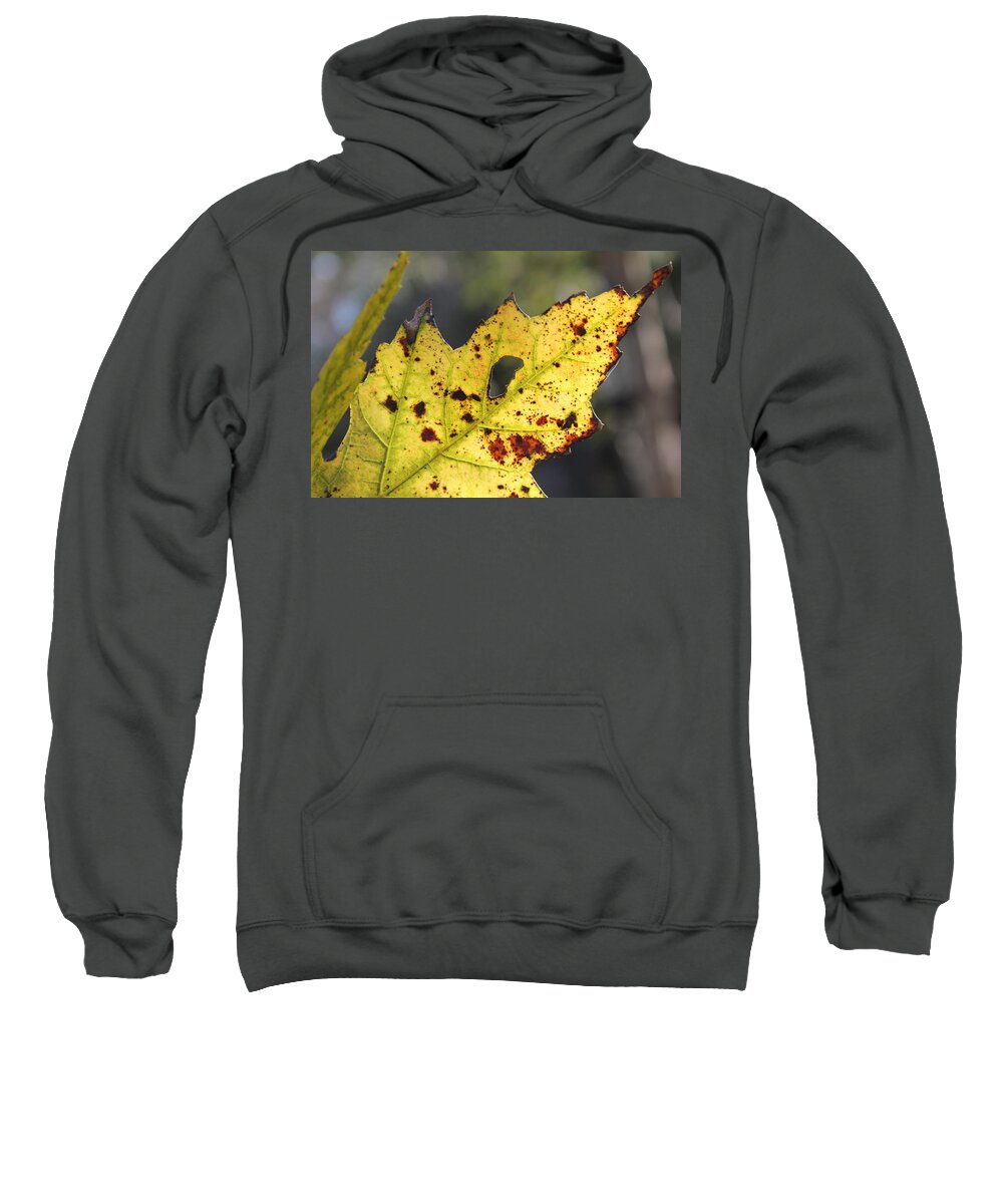Leaf Sweatshirt featuring the photograph Face of a Leaf by Kelly Hazel