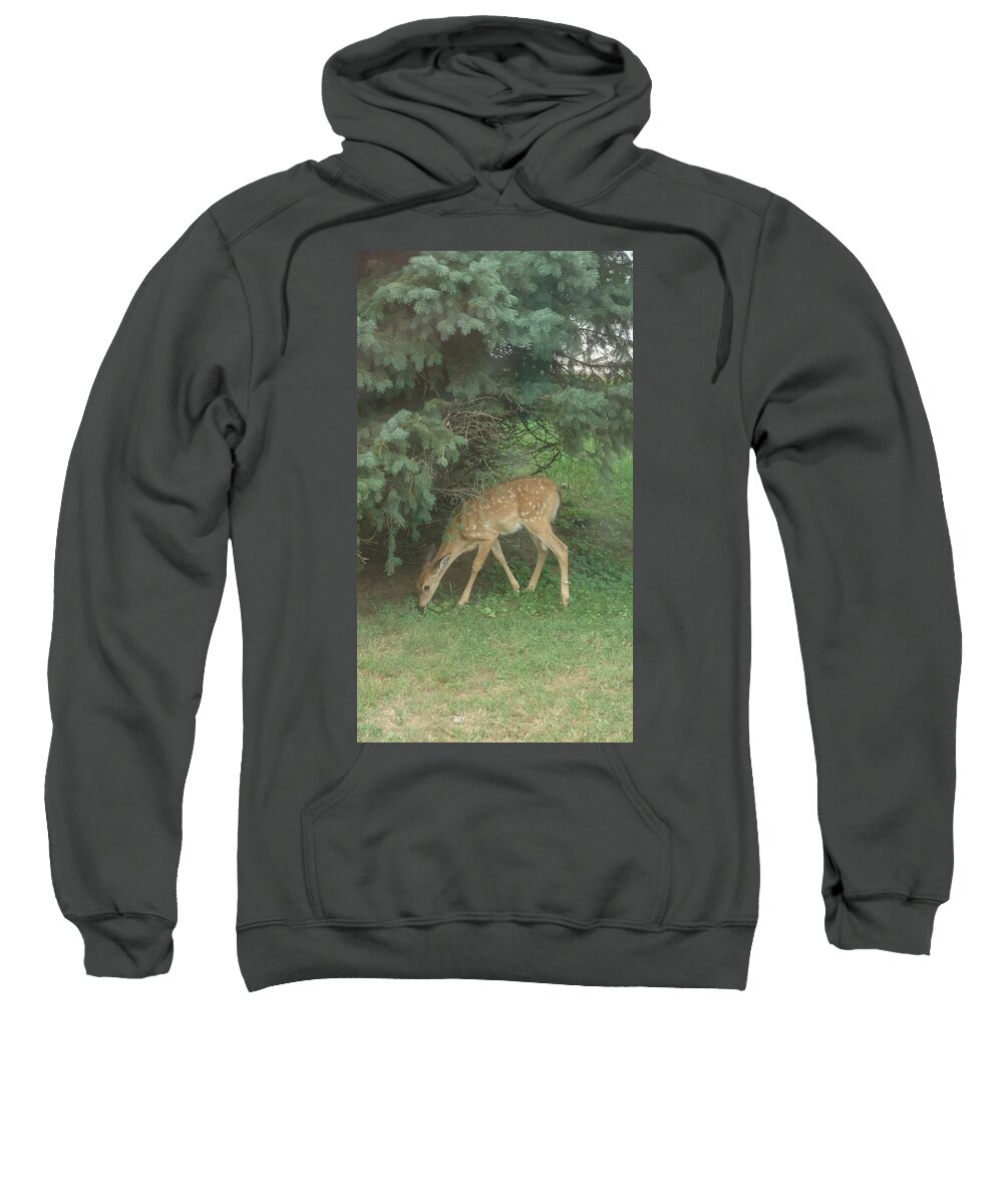 Fawn Sweatshirt featuring the photograph Fawn by Leslie Manley