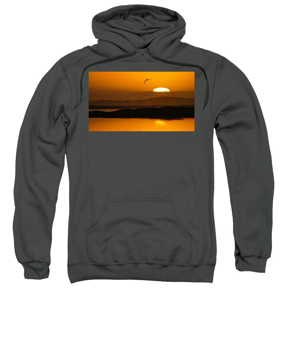 Africa Sweatshirt featuring the photograph Firstlight flight by Alistair Lyne