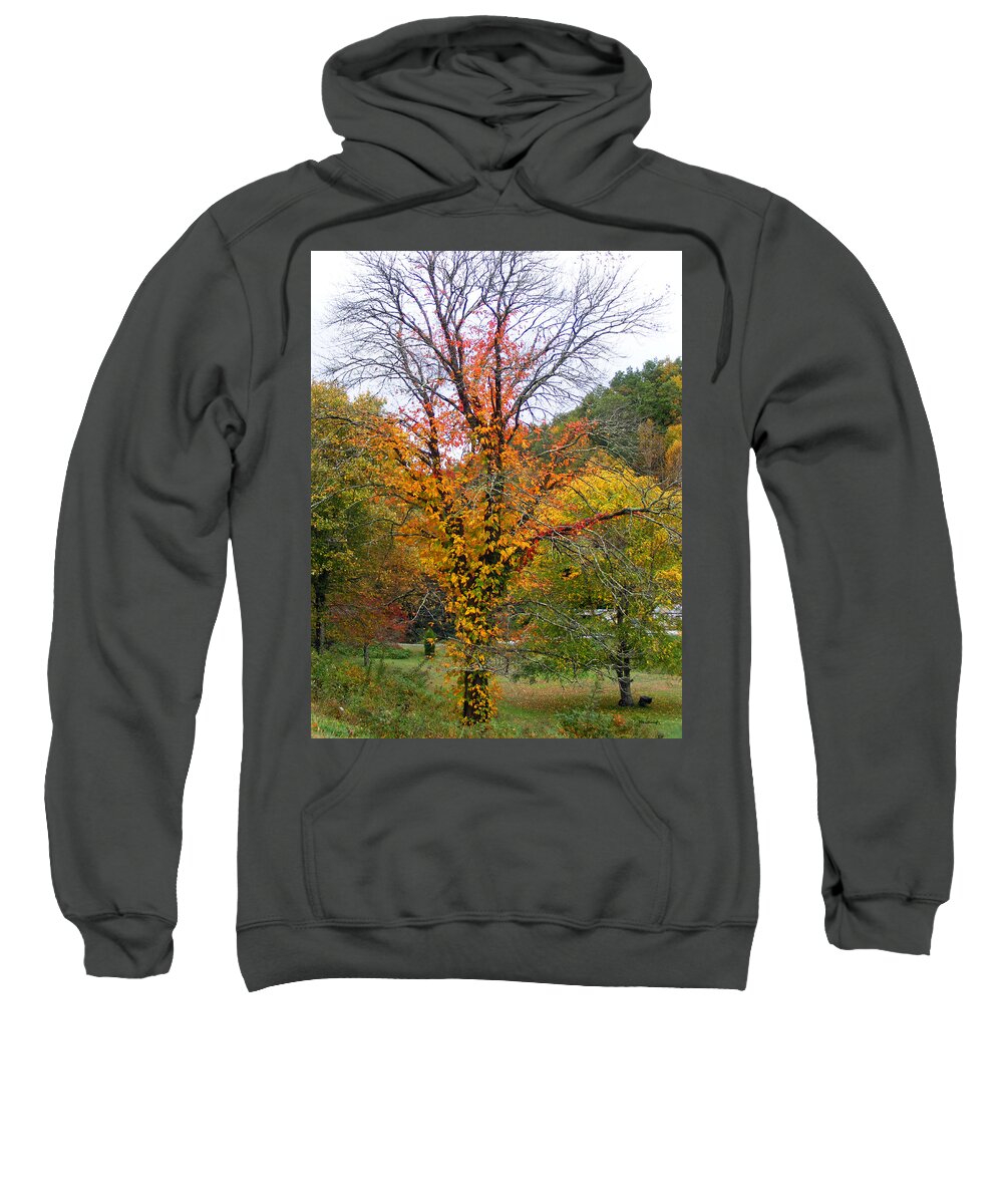Flame Sweatshirt featuring the photograph Flaming Tree by Duane McCullough