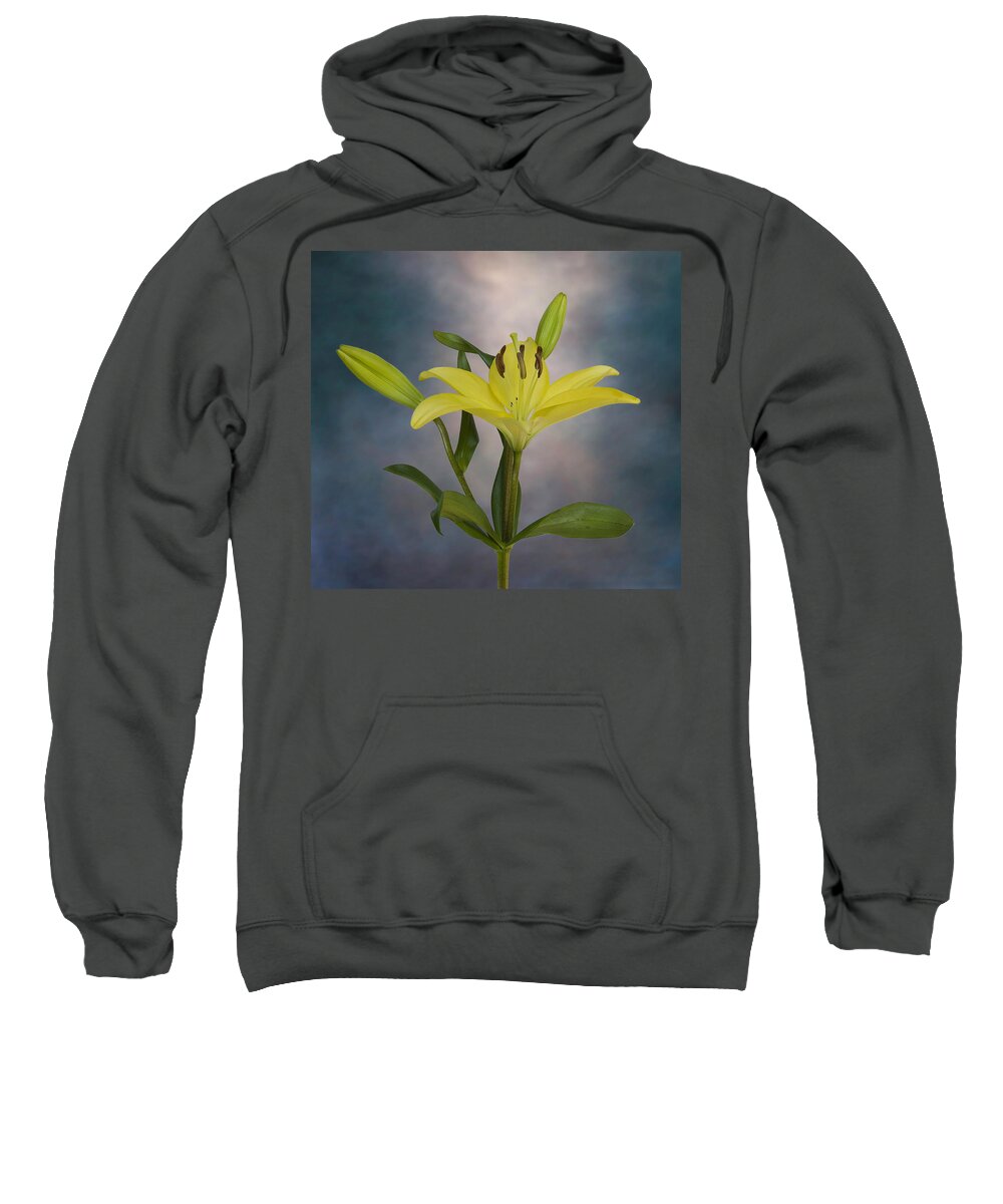 Flower Sweatshirt featuring the photograph From The Heart by Steven Richardson