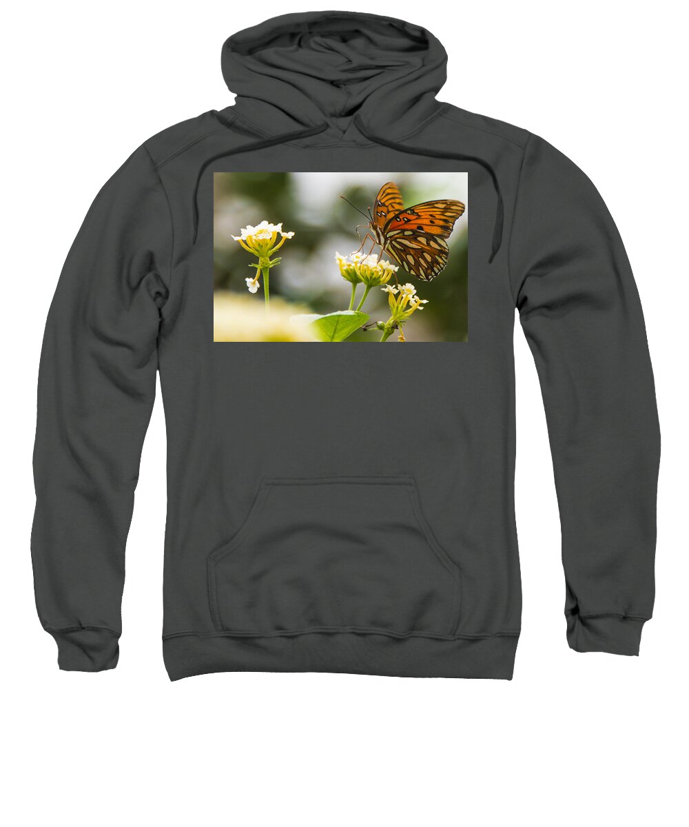 Insect Sweatshirt featuring the photograph Got Pollen by Theodore Jones