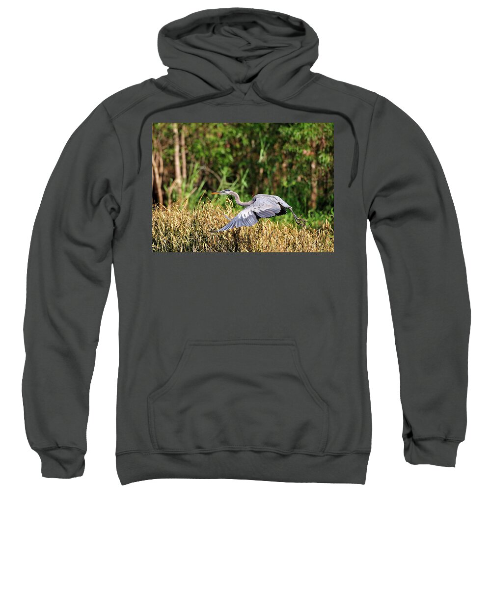 Great Blue Heron Sweatshirt featuring the photograph Heron flying along the river bank by Bill Dodsworth