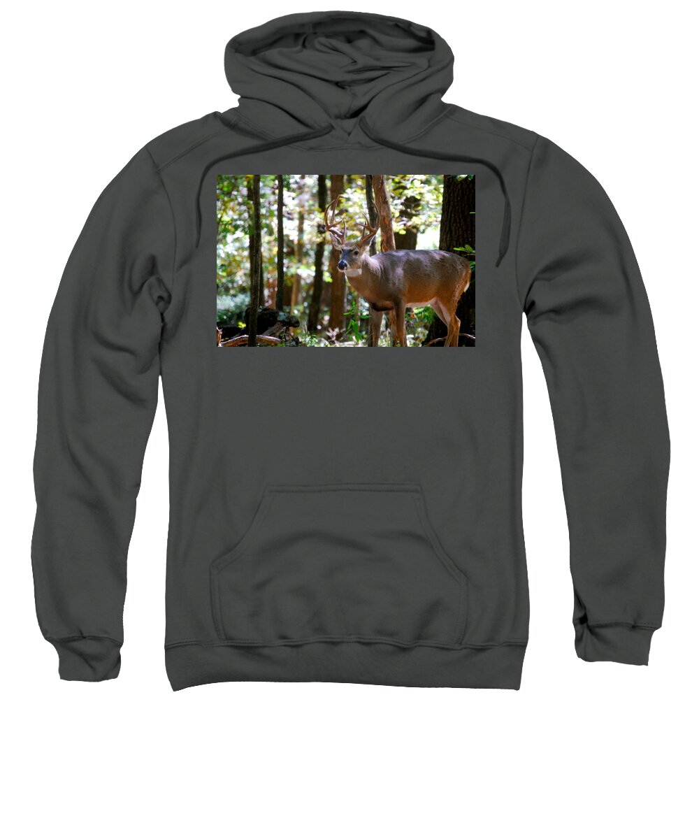 Wildlife Photography Sweatshirt featuring the photograph Hunters Dream 10 Point Buck by Peggy Franz