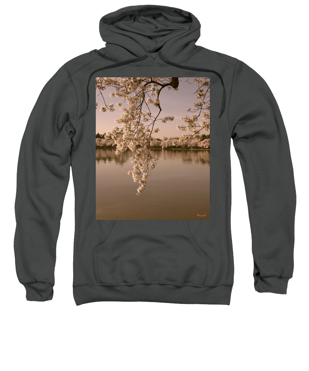Washington D.c. Sweatshirt featuring the photograph Japanese Cherry Tree Blossoms over the Tidal Basin in Sepia DS019S by Gerry Gantt
