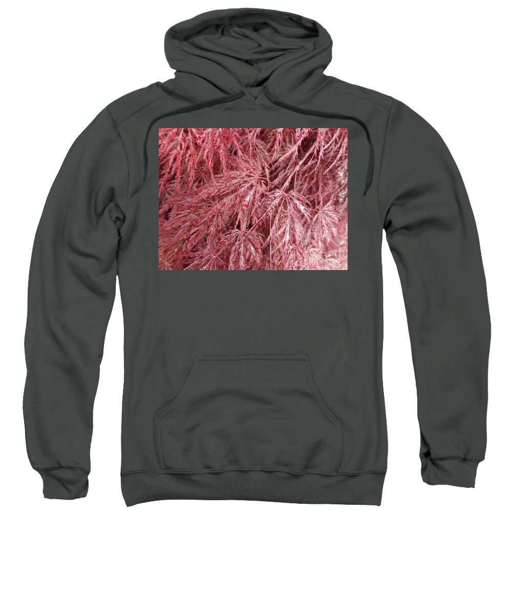 Japanese Sweatshirt featuring the photograph Japanese Maple by Laurel Best