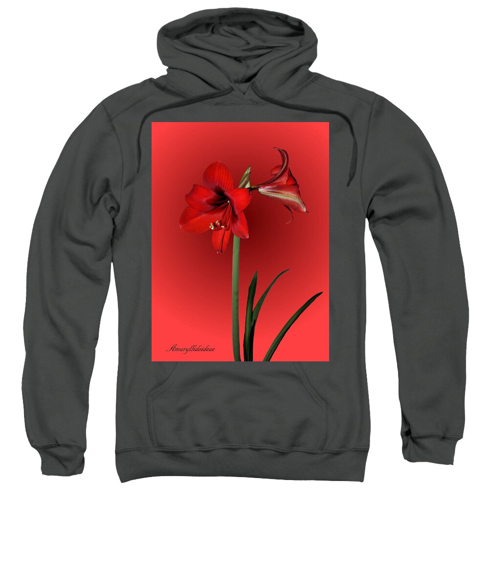 Amaryllis Sweatshirt featuring the photograph Lady in Red by Kristin Elmquist