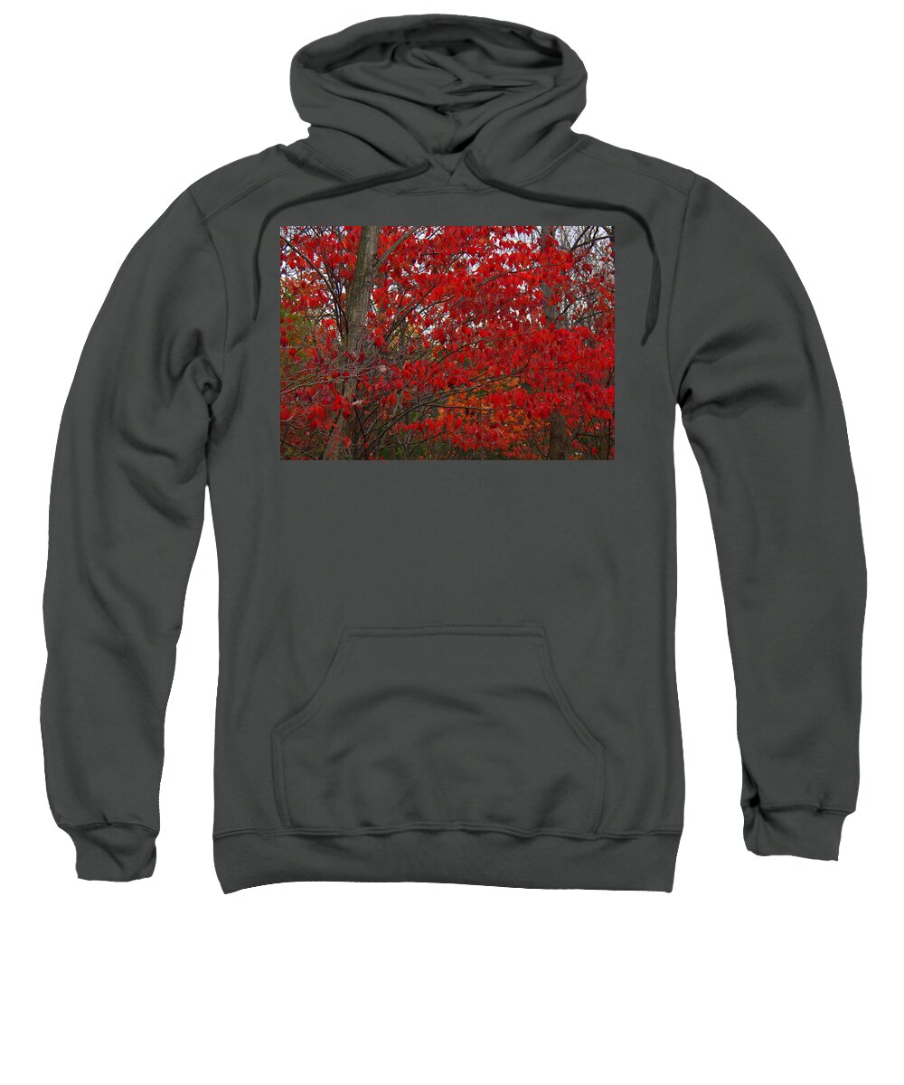 Last Gasp Sweatshirt featuring the photograph Last Gasp by Edward Smith