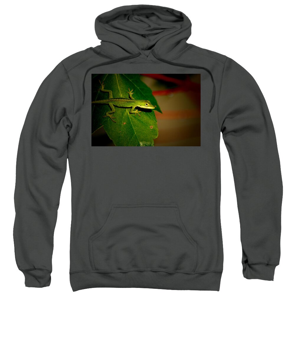 Reptile Sweatshirt featuring the photograph Lizard Portrait by David Weeks
