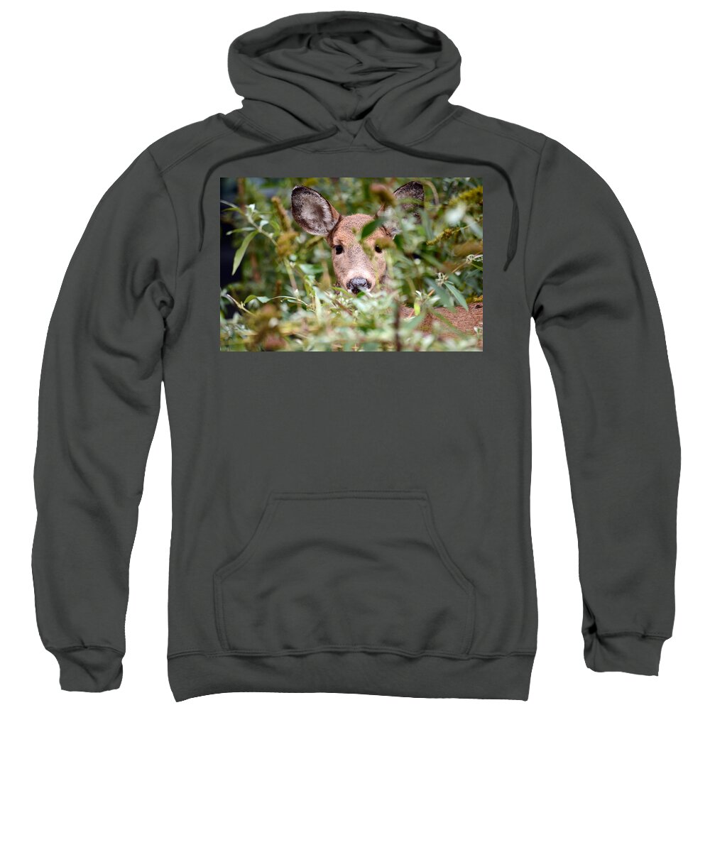 Deer Sweatshirt featuring the photograph Look What I Found In My Garden by Lori Tambakis