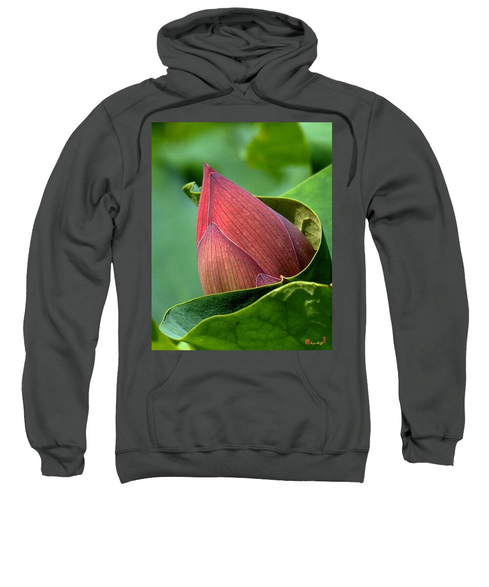 Nature Sweatshirt featuring the photograph Lotus Bud--Bud in a Blanket DL049 by Gerry Gantt