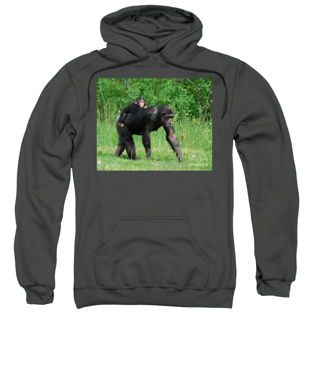 Monkey Sweatshirt featuring the photograph Mother and Babe by Grace Grogan