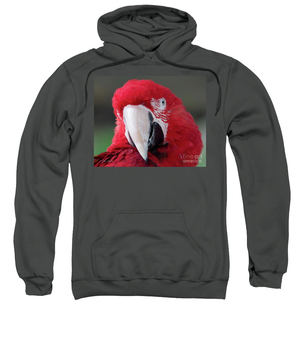 Birds Sweatshirt featuring the photograph My better side by Sue Karski