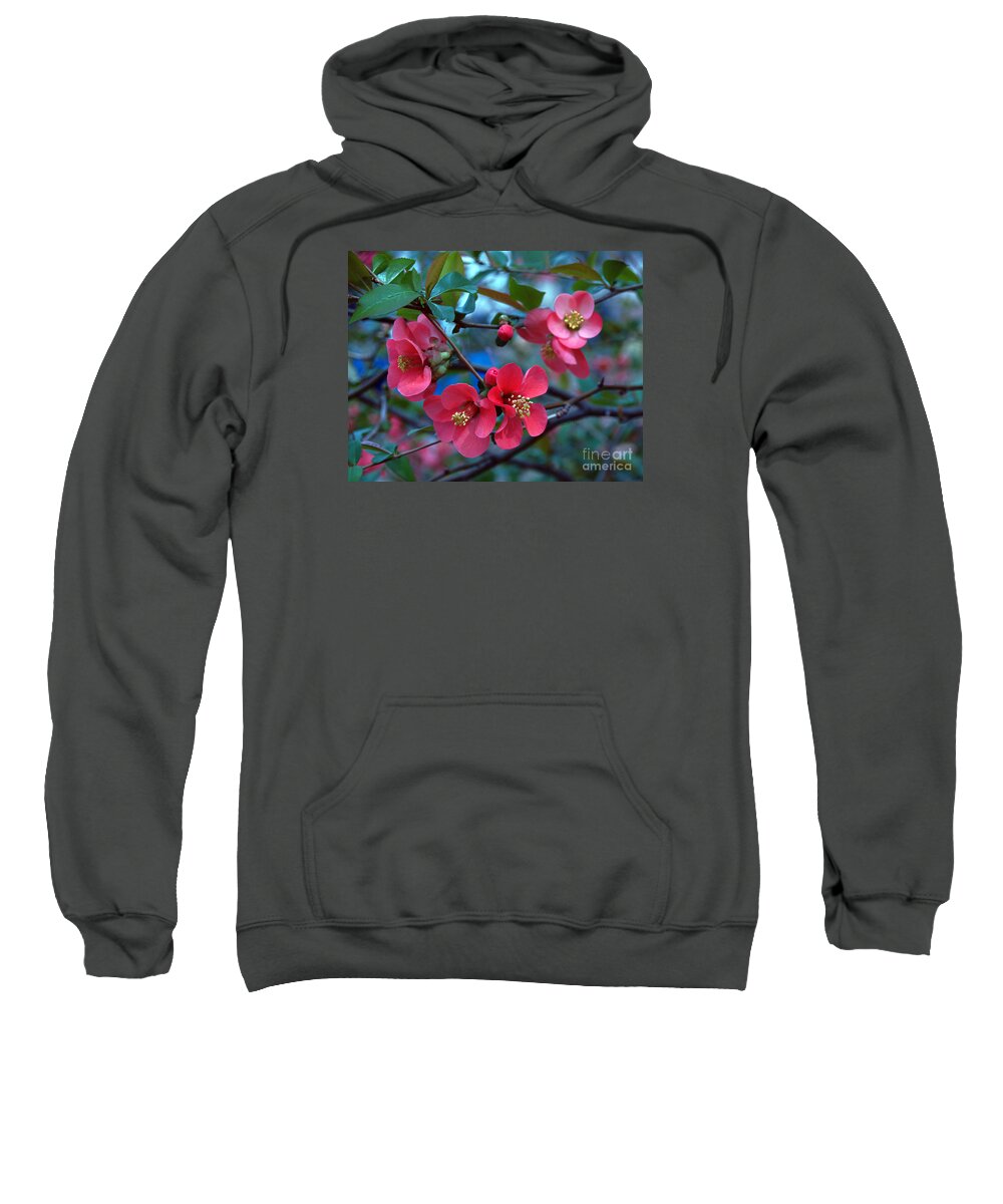Fine Art Photography Sweatshirt featuring the photograph Not So Crabby by Patricia Griffin Brett