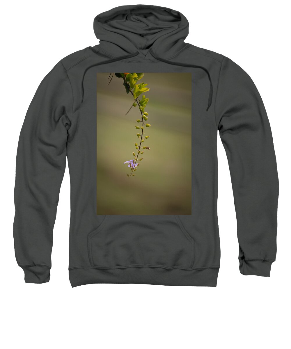 Offering Sweatshirt featuring the photograph Offering by SAURAVphoto Online Store